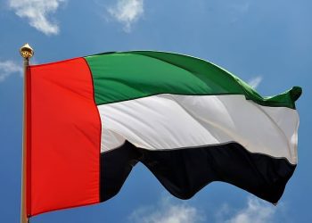 UAE Flag