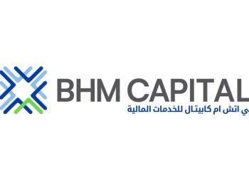 BHM Capital financial growth chart showing revenue and profit increase in 2025.