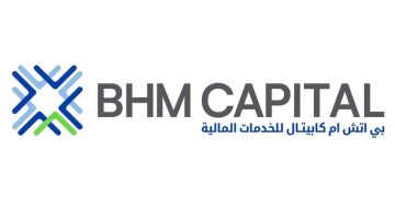 BHM Capital financial growth chart showing revenue and profit increase in 2025.