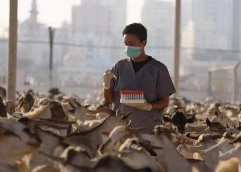 UAE food supply chain operations ensuring stable food availability ahead of Eid Al Fitr.