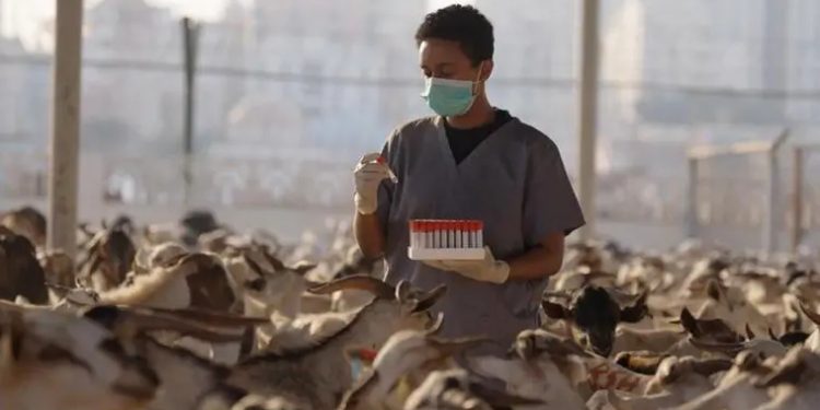 UAE food supply chain operations ensuring stable food availability ahead of Eid Al Fitr.