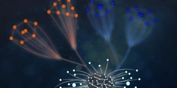 NYU Abu Dhabi: AI analysing particle physics data and discovering fundamental laws