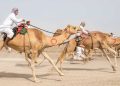 How Dubai Masterfully Blends Traditional Sports with Modern Sports to Redefine Global Tourism