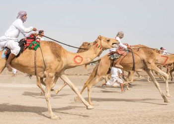How Dubai Masterfully Blends Traditional Sports with Modern Sports to Redefine Global Tourism