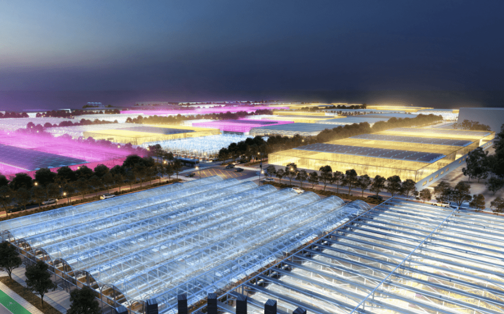 UAE foodtech 2026 smart greenhouse vertical farming facility