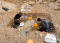 Archaeological Discoveries Rewrite UAE and Human History