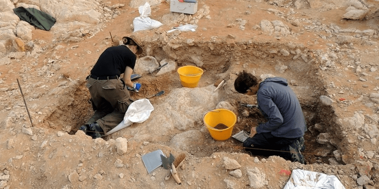 Archaeological Discoveries Rewrite UAE and Human History