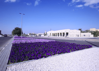 Al Ain Blossoms with 99 Million Flowers in a Stunning Urban Tapestry