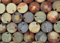 Oil Markets Ignite as Brent Crude Breaches $90 Amid Middle East Tensions